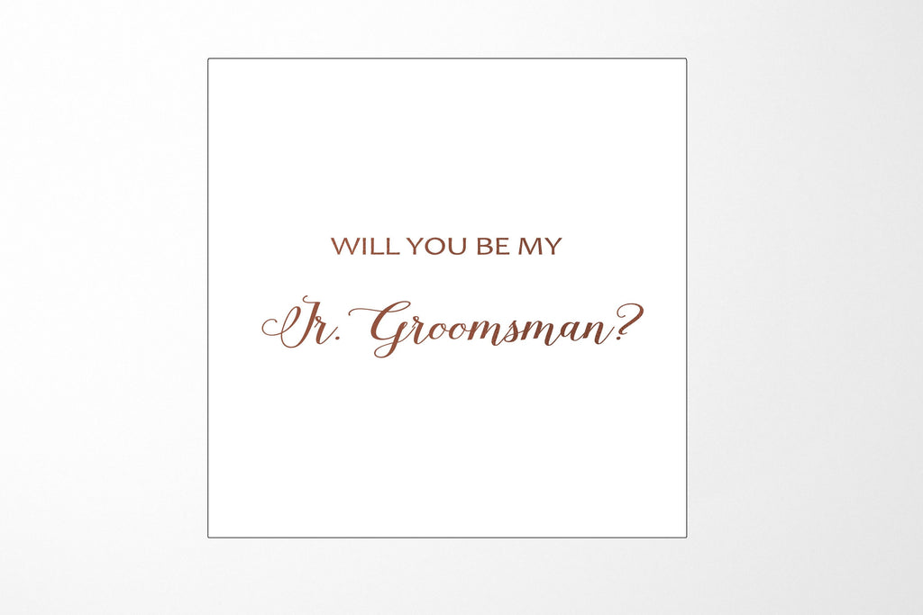 Will You Be My jr groomsman? Proposal Box White - No Border - No ribbon