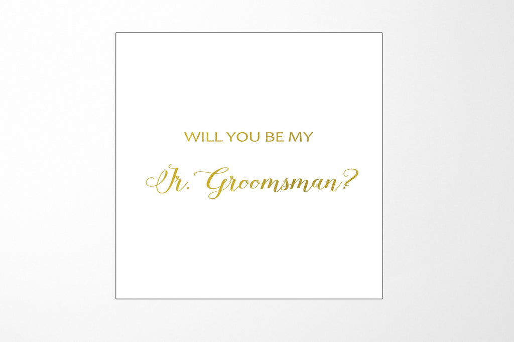 Will You Be My jr groomsman? Proposal Box White - No Border - No ribbon